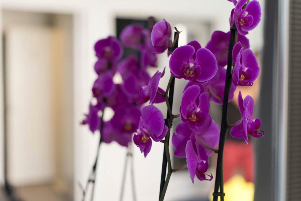Studio Orchidea Helsinki Ngoại thất bức ảnh